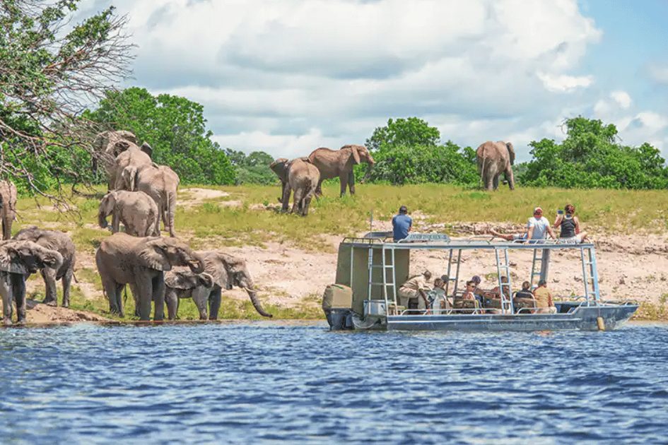 SEP-AmaWaterways-African safaris and Wildlife river cruises