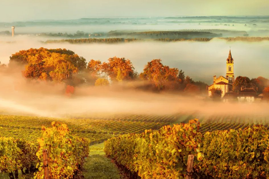 SEP-AmaWaterways-European Wine Regions